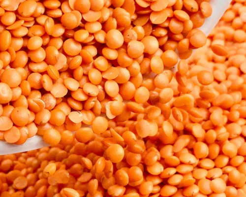 Masoor Dal